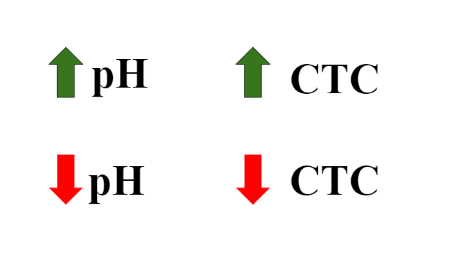 CTC