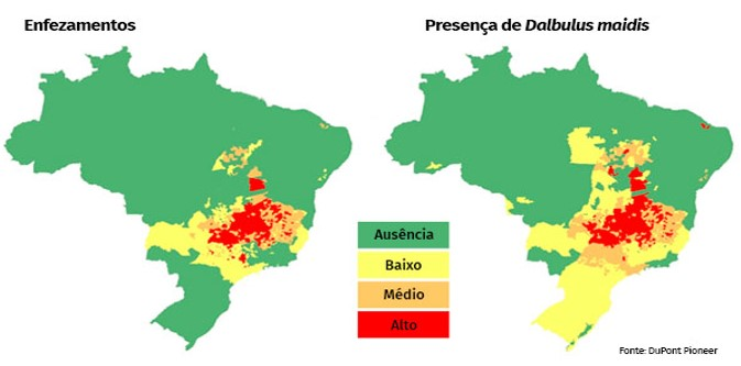 Regiões com concentrações de enfezamento e cigarrinha-do-milho na safra 2016/17. Fonte: DuPont Pioneer.