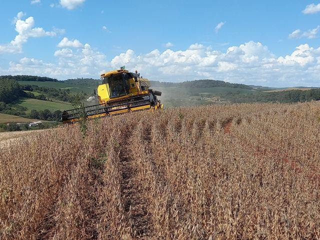 Plantio e a colheita