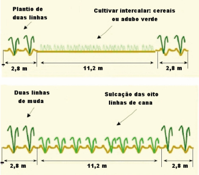 Esquematização do sistema MEIOSI. Fonte: Revista Canavieiro apud Rosseto e Santiago 