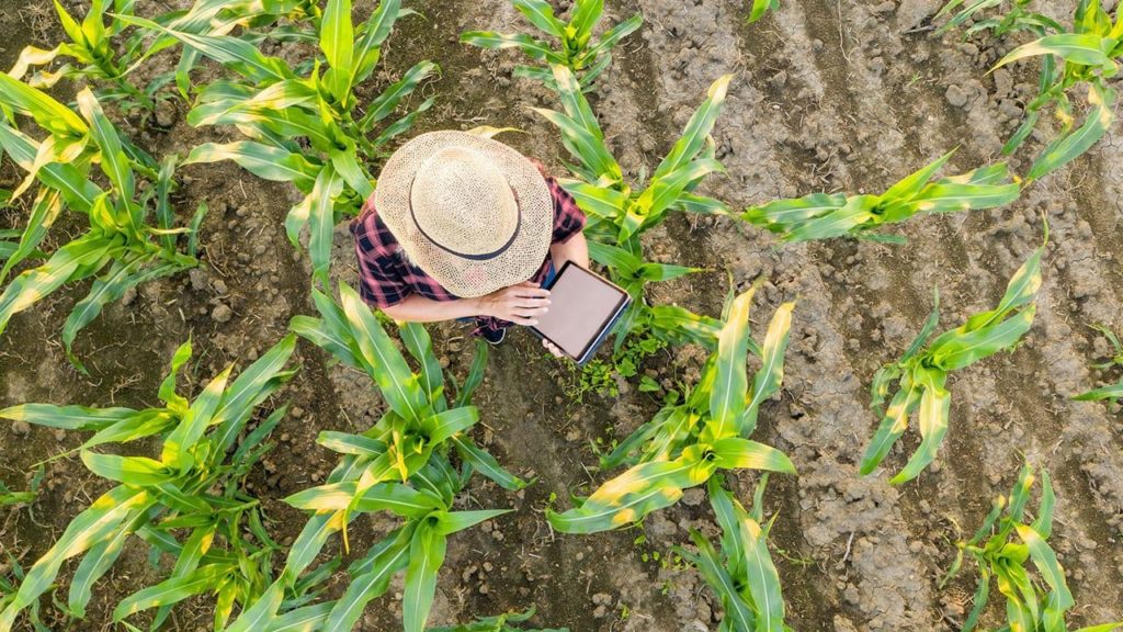 Uso te tecnologia no campo é uma das estratégias da Agricultura Digital 