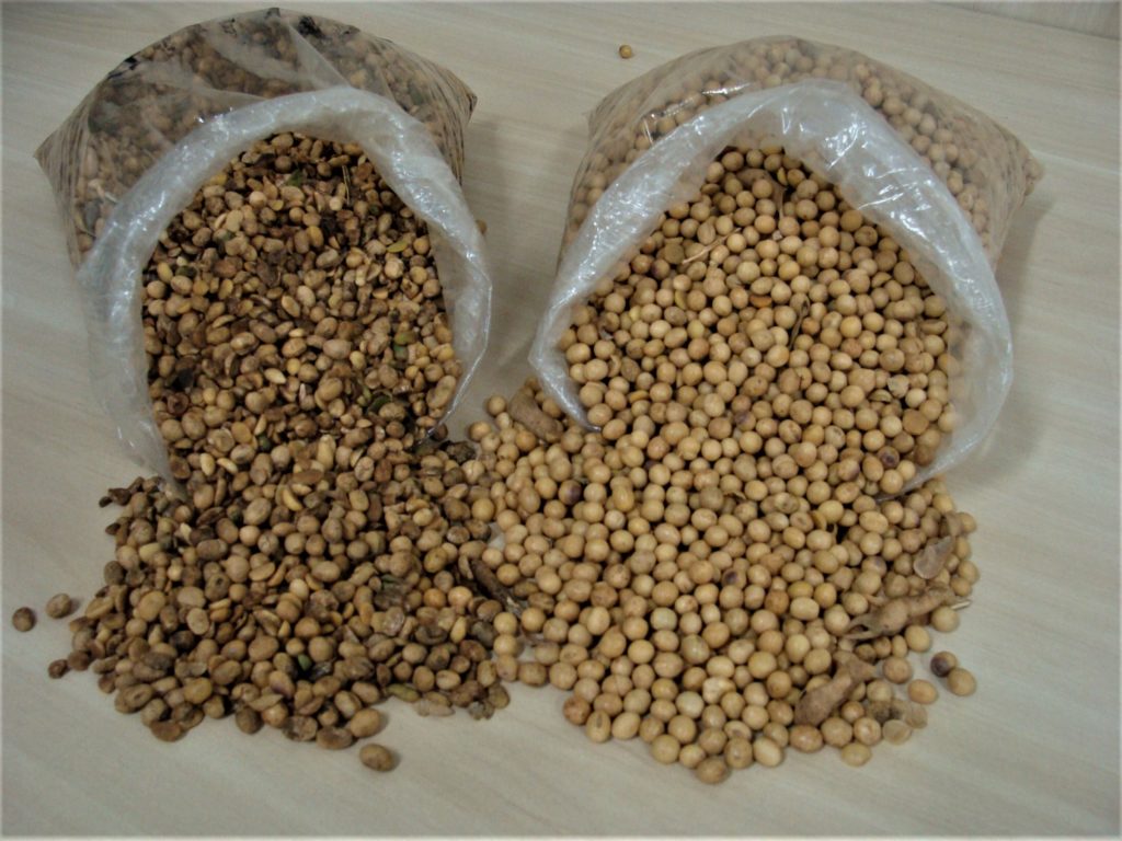 Comércio de sementes piratas. Fonte: Sistema Famasul