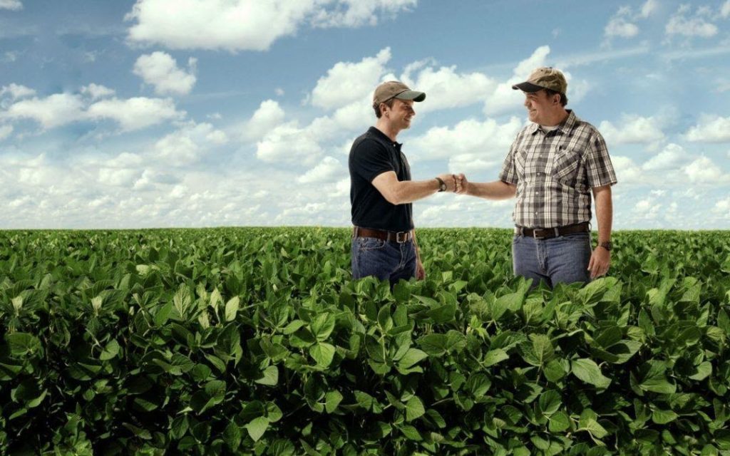 Uma boa consultoria agronômica ajudará produtores a ter um uso mais racional de fertilizantes. Fonte: Noticias Agrícolas 
