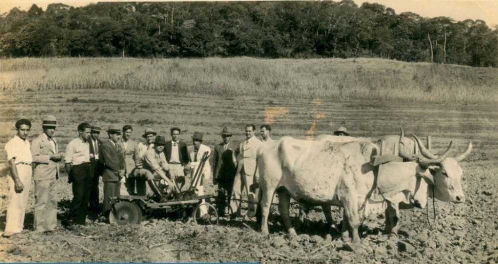 Trajetória Da Produtividade Agrícola Brasileira Um Histórico Da Produção De Grãos No País 