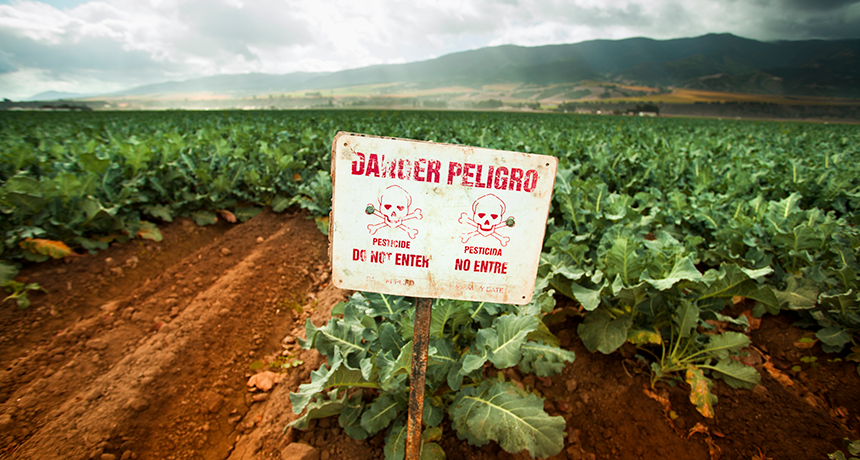 liberação de defensivos agrícolas