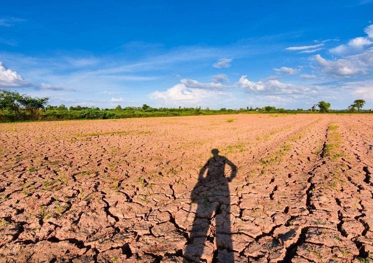 Estiagem: uma das grandes razões de quebra de safra.