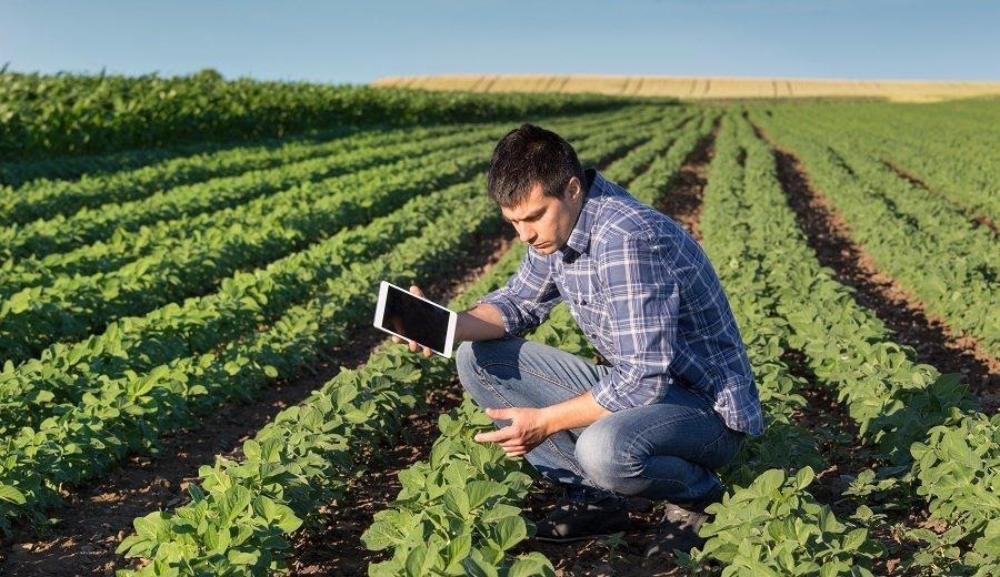 O bom planejamento é vital para o produtor.