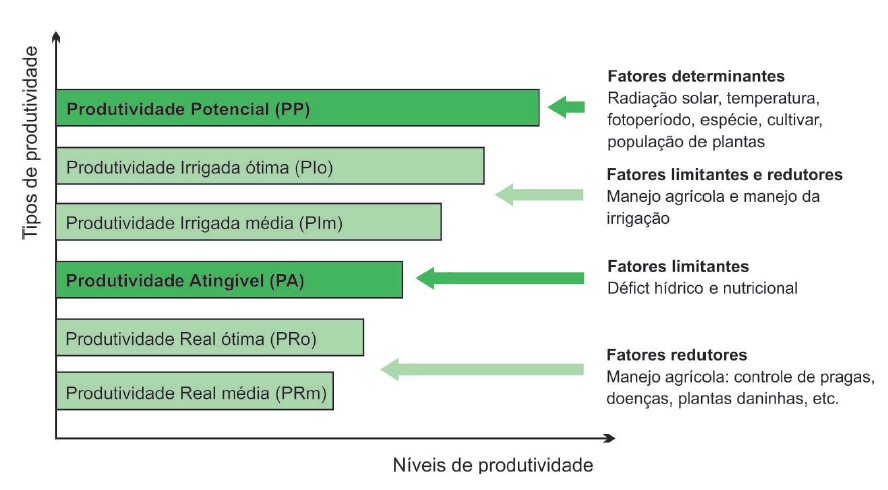 Tipos de produtividade e seus fatores limitantes. Adaptado de Sentelhas, Battisti e Monteiro (2016). 