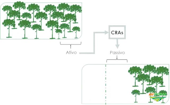 Cotas de Reserva Legal