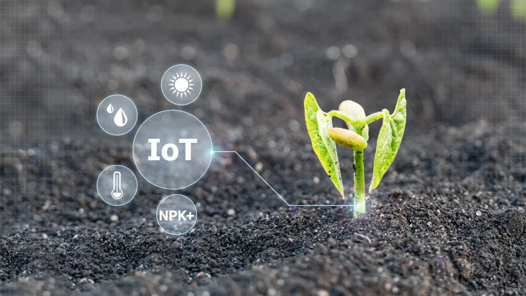 Internet das coisas é uma das ferramentas da Agricultura 4.0