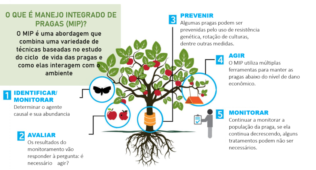 Manejo Integrado de Pragas (MIP) técnica que pode ajudar produtores com o cultivo no Cerrado