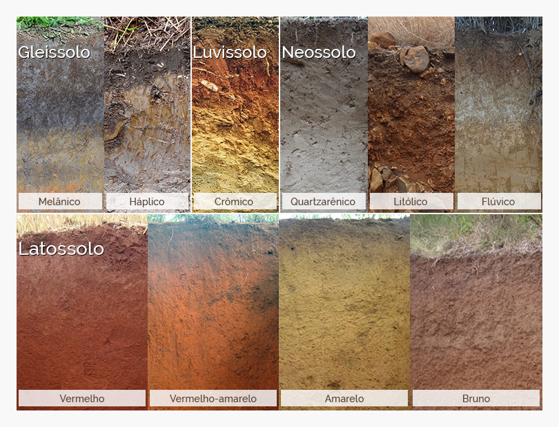 Classificação dos solos brasileiros por características morfológicas 