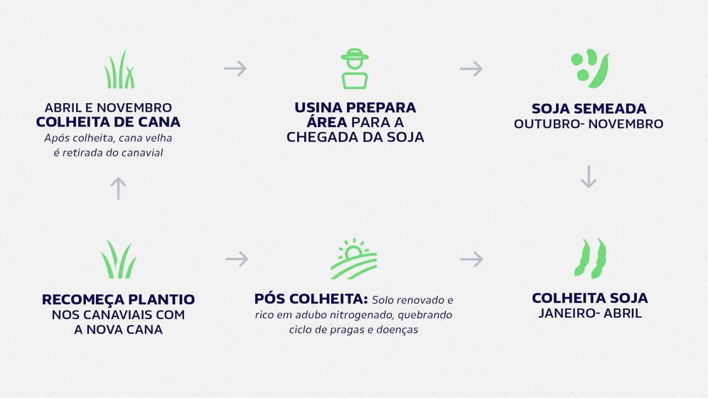 Uso de soja na renovação dos canaviais