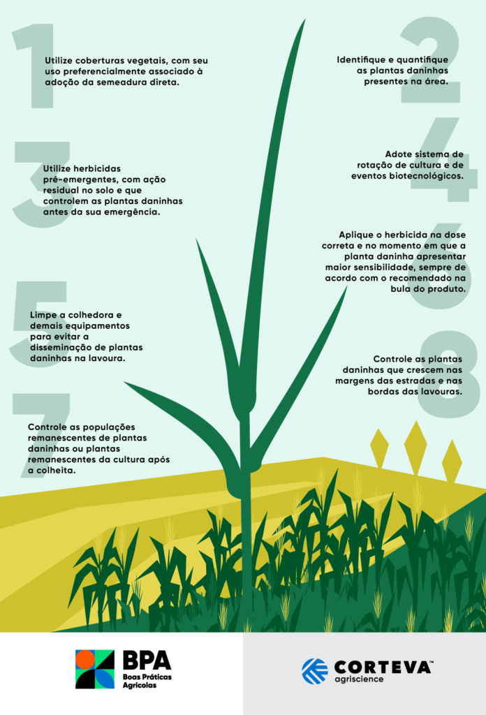Dicas de boas práticas para o controle de daninhas