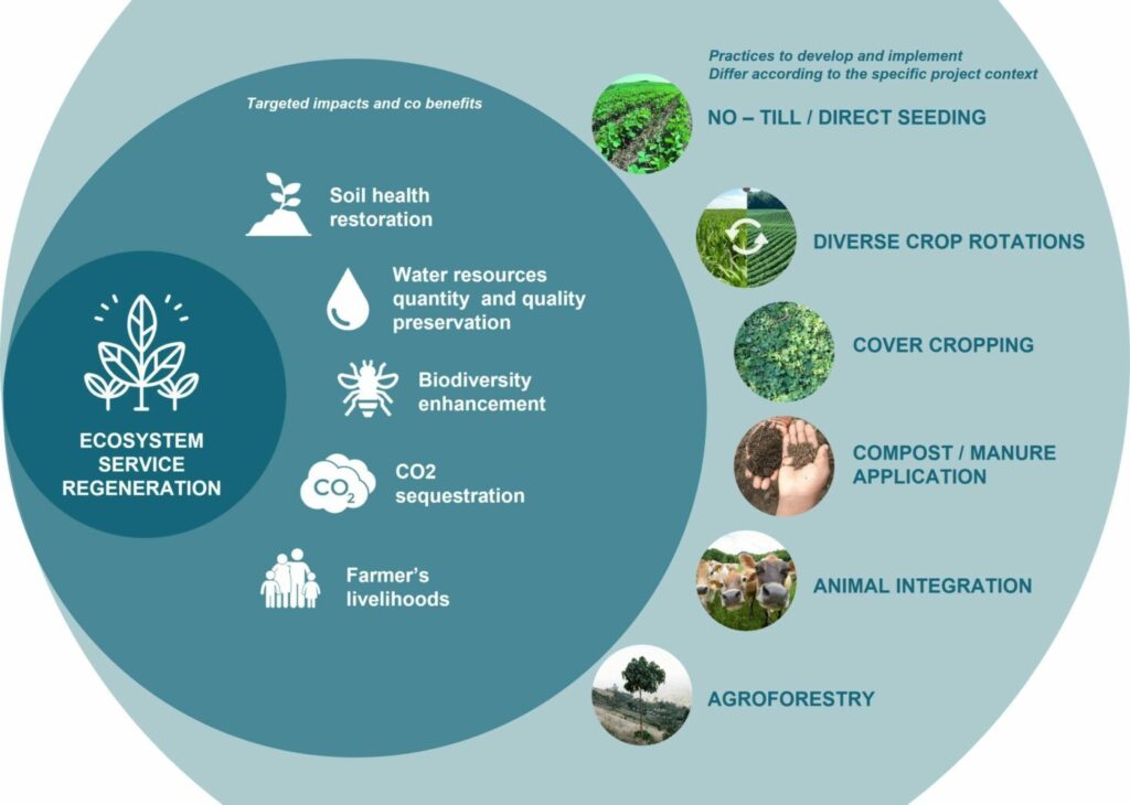 ecossistema da agricultura regenerativa