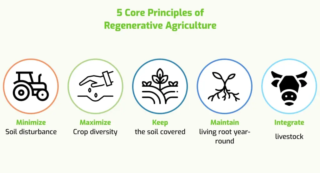 Principais cuidados na agricultura regenerativa