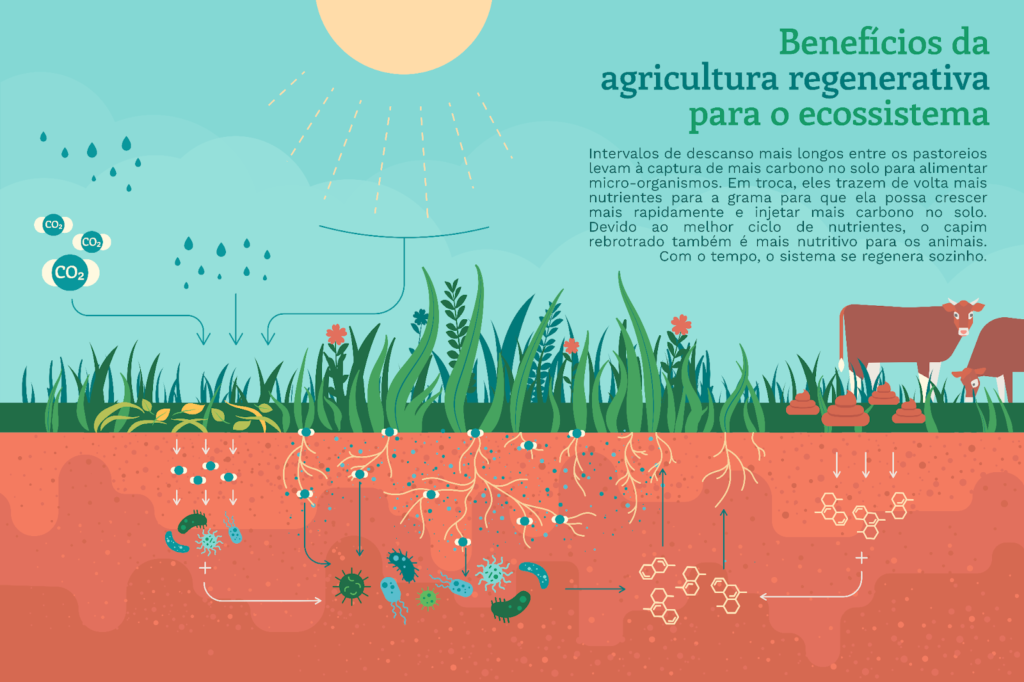 Benefícios da Agricultura regenerativa
