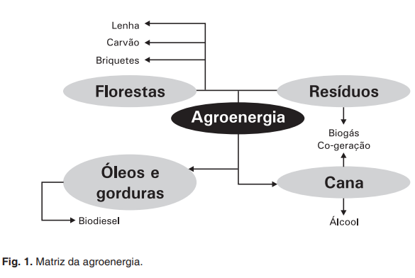 Agro energia