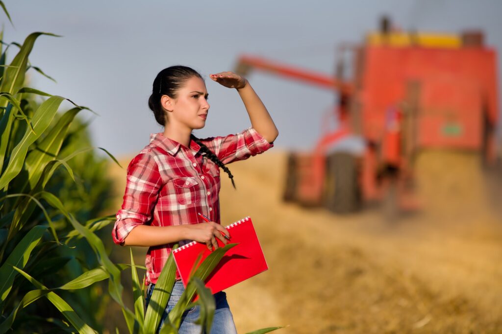 Contabilidade Rural