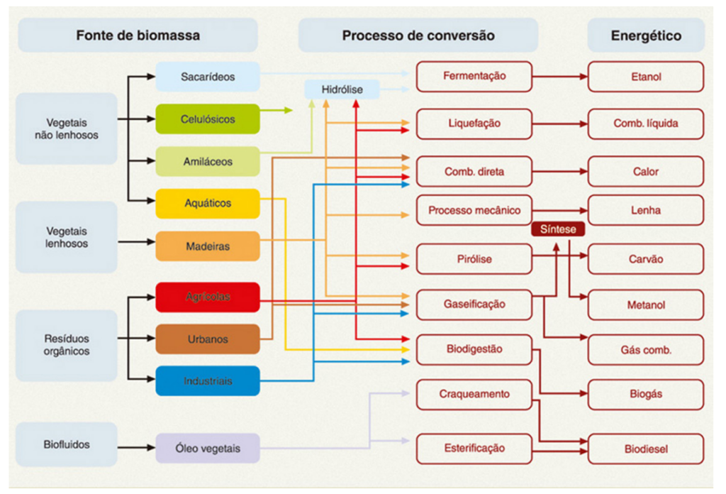 ciclo de produção de Bioenergia