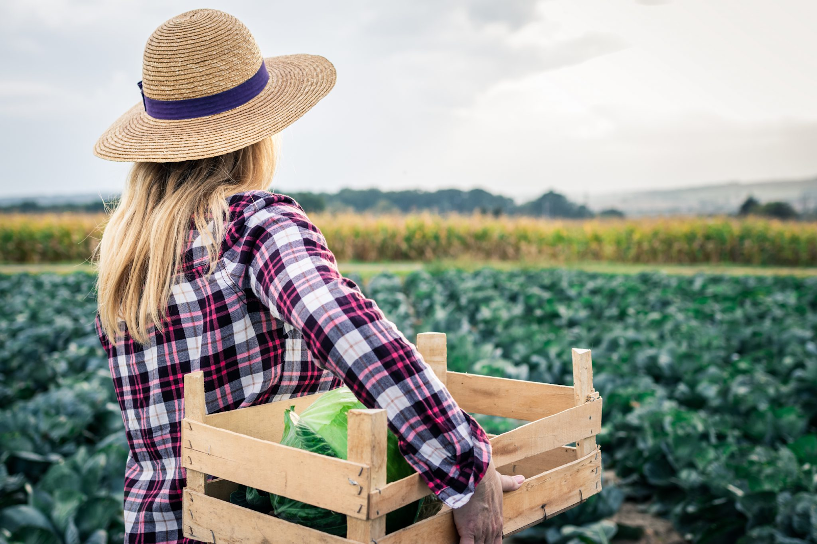 O protagonismo feminino na Agricultura Familiar e Economia do