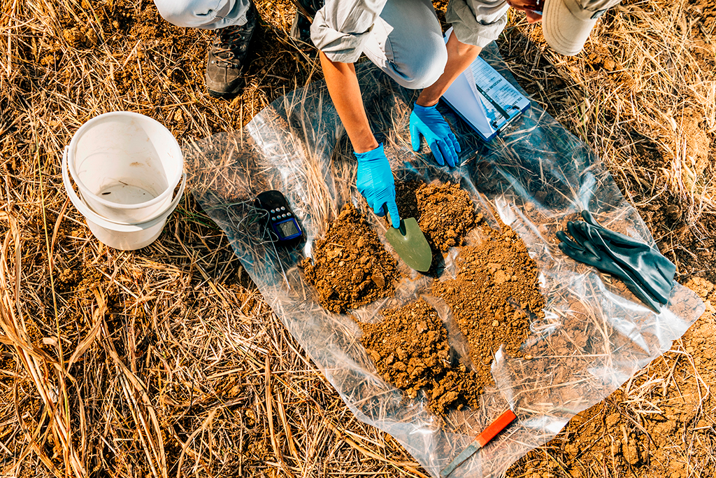 Amostragem de solo para identificação de nematoides