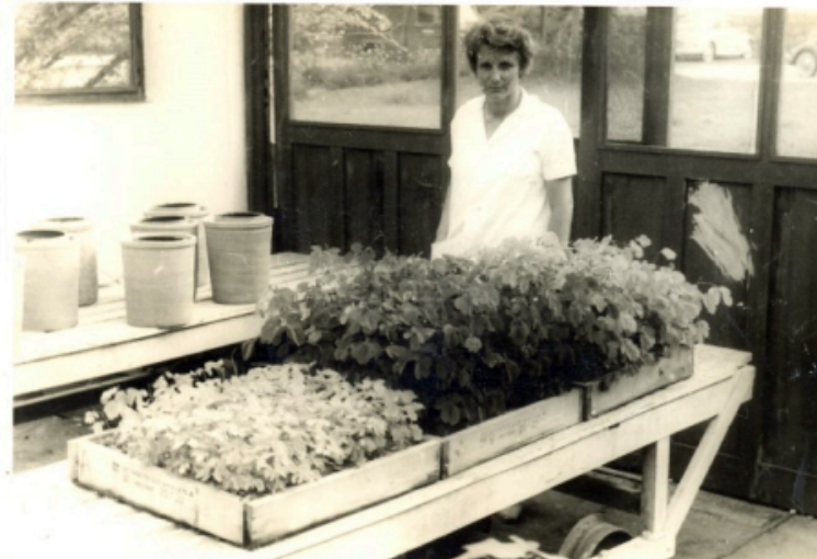 Johanna Döbereine se interessou pelas ciências agronômicas desde jovem, antes mesmo de vir ao Brasil. Imagem: Reprodução/Arquivo pessoal 